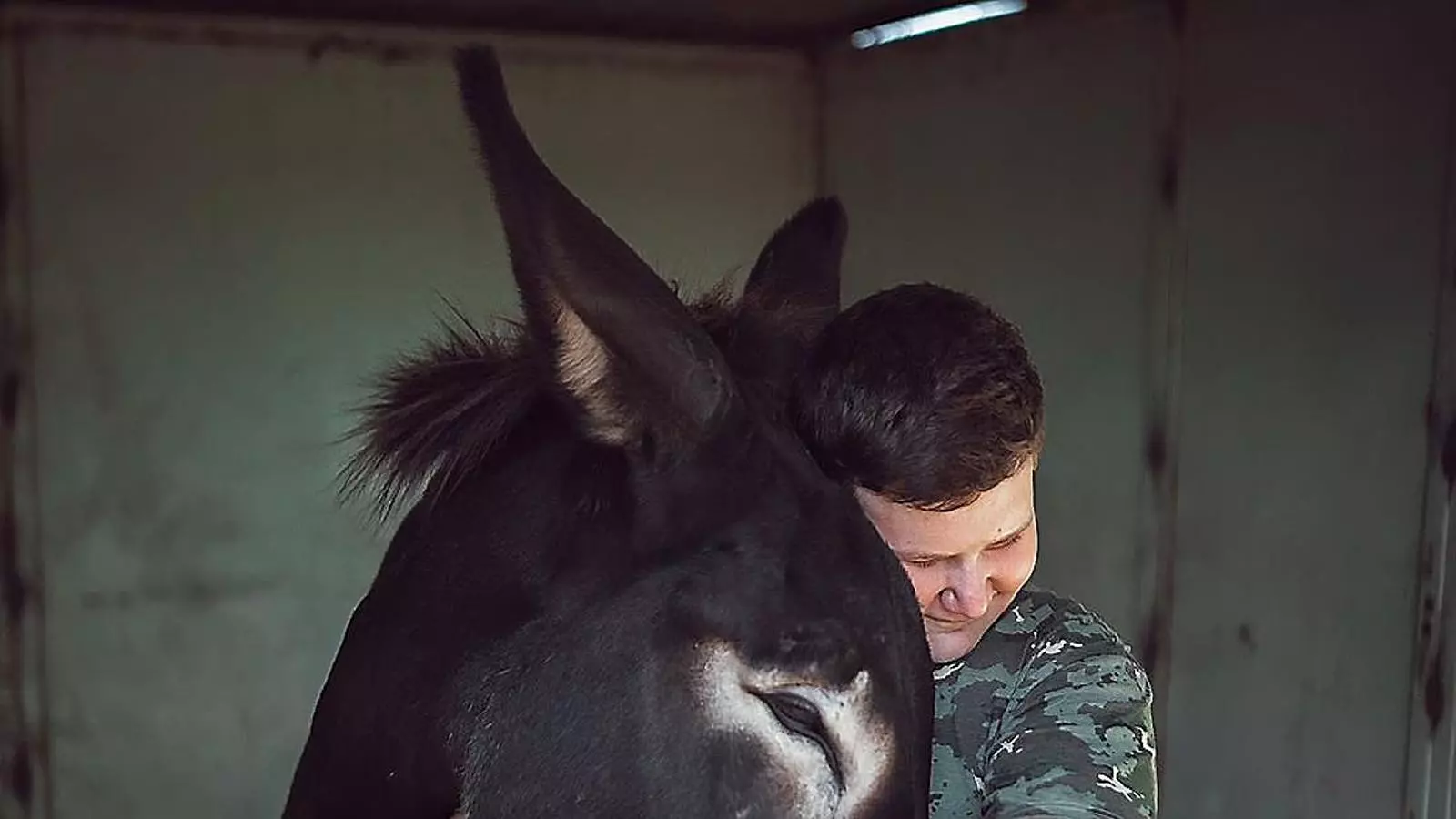 Miquel Montoro, ‘youtuber’ “A casa tenim uns tres o quatre milions d’animals”