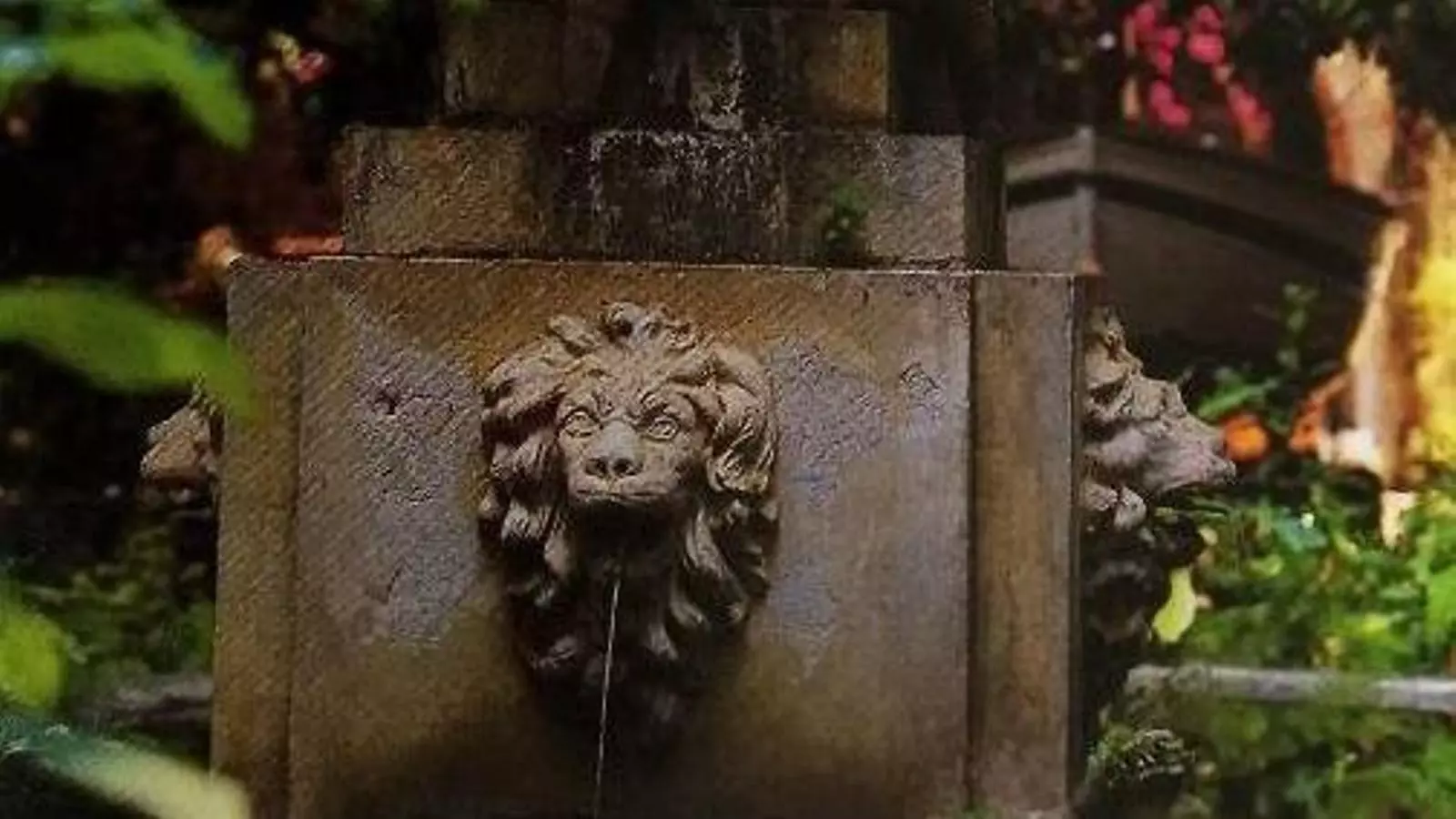 Imatge dels Jardins Can Canals.