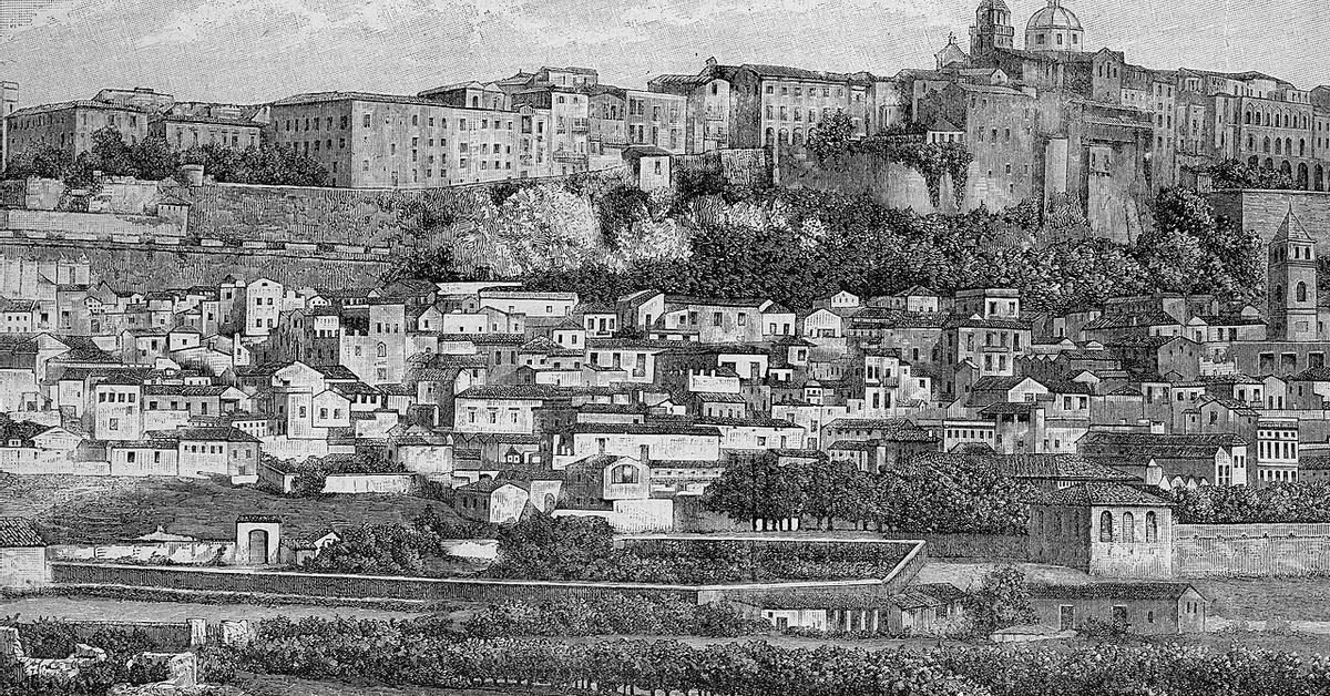 Culpa i deshonor en una illa salvatge i remota