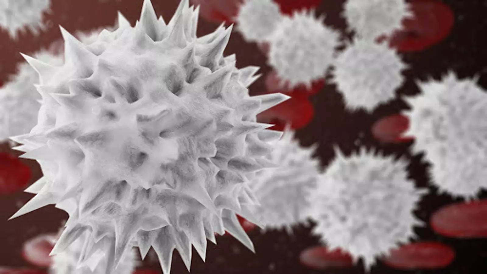 Representació per ordinador mitjançant tècniques de 3D dels glòbuls blancs que ens protegeixen d'agents infecciosos.