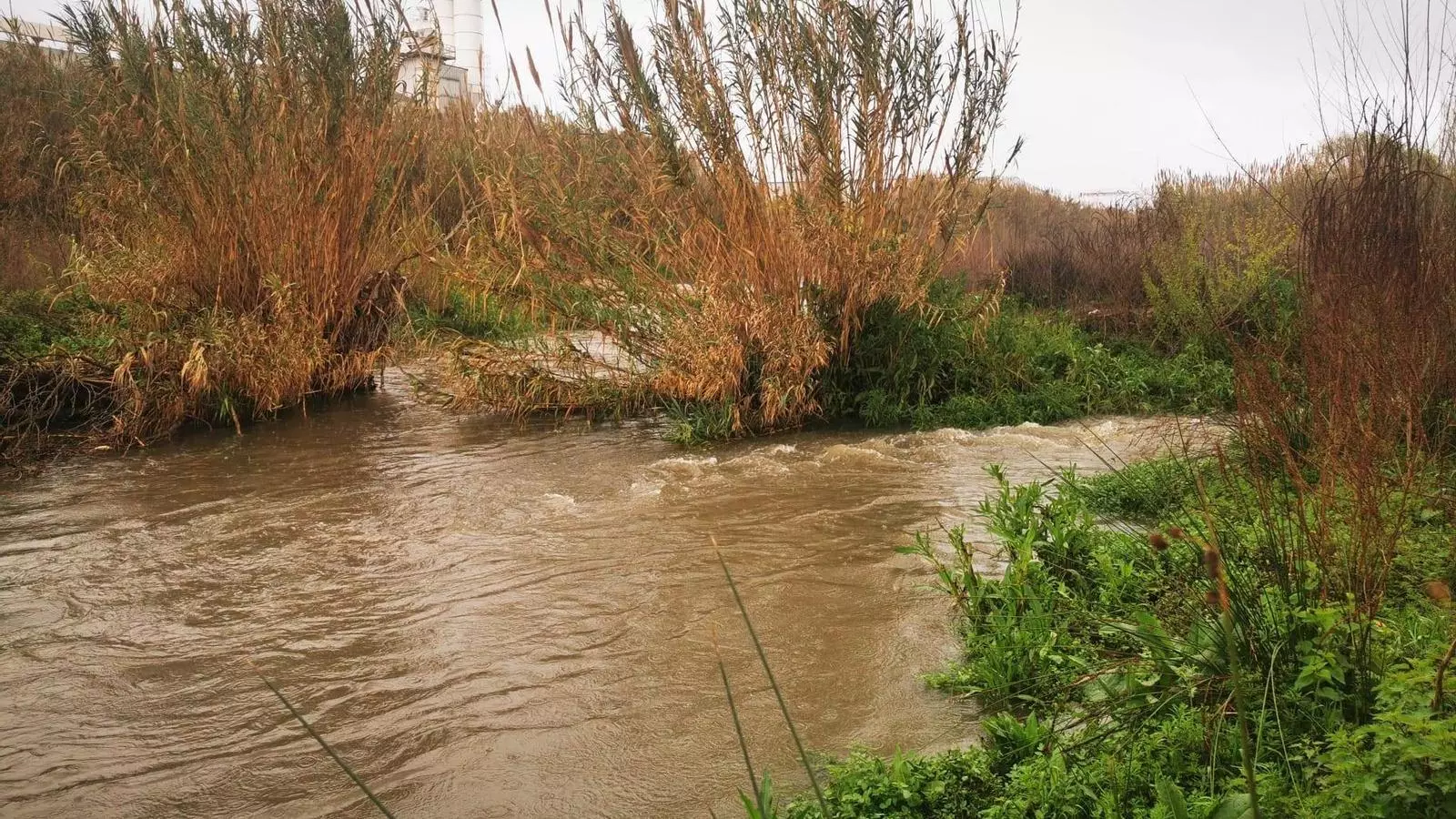 Sido del río Besòs dos días después del icendi en una imagen de la ACA cedida a la ACN