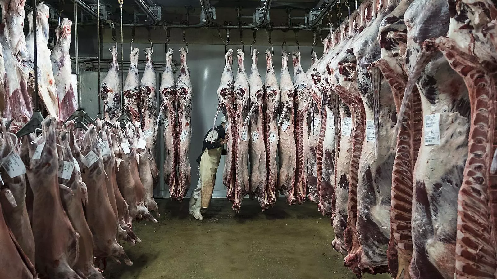 La carn halal guanya adeptes