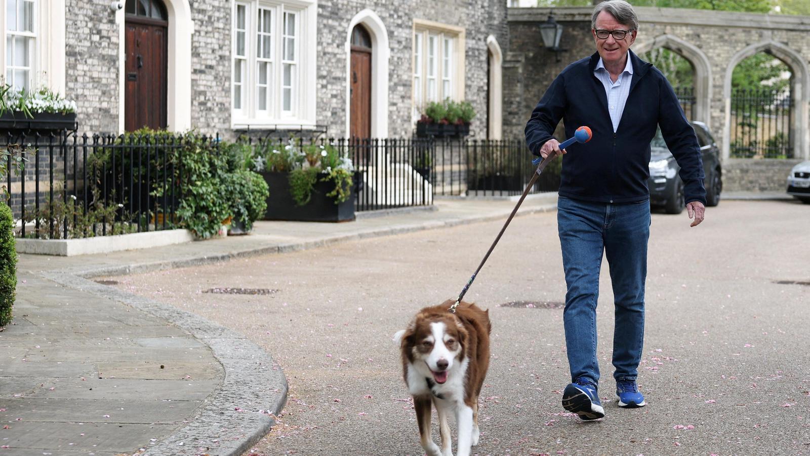 Peter Mandelson, with his dog, outside his residence in London, on April 20th.