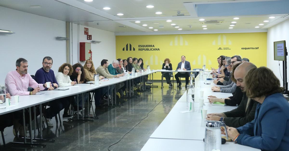 ERC Delegation: Requested Powers Explained