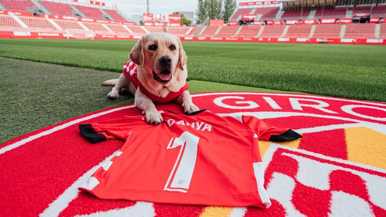 La Canya, la gossa oficial del Girona