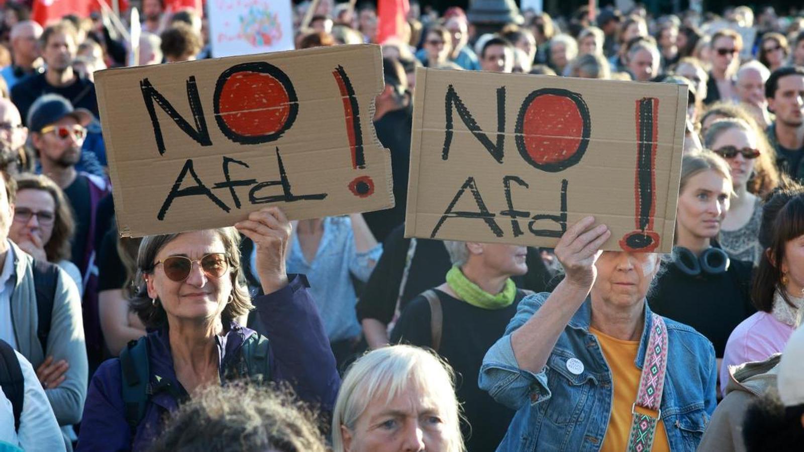 Demonstration against Alternative for Germany, today, at the Brandenburg Gate in Berlin.