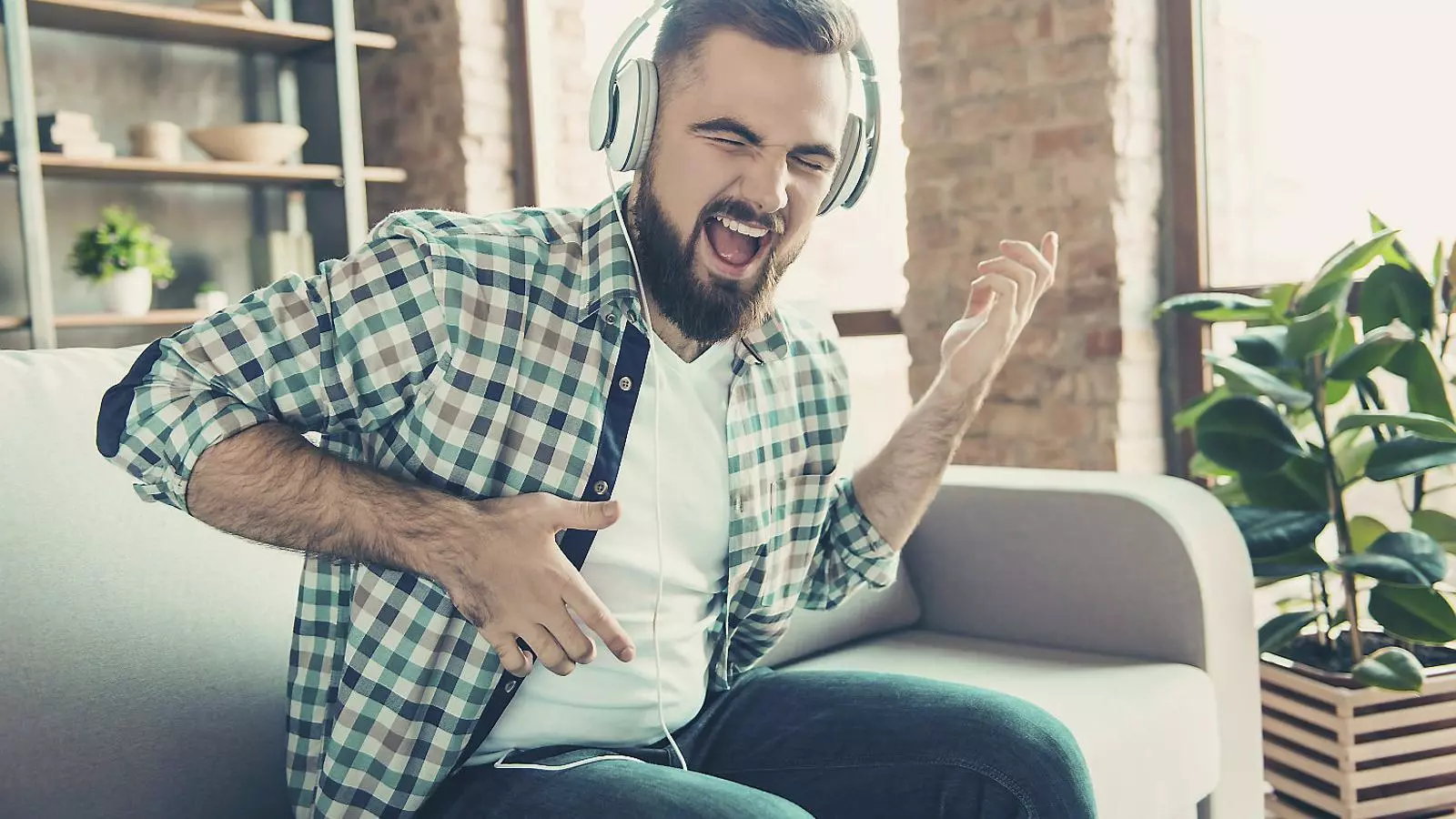 Per què ens agrada tant la música?