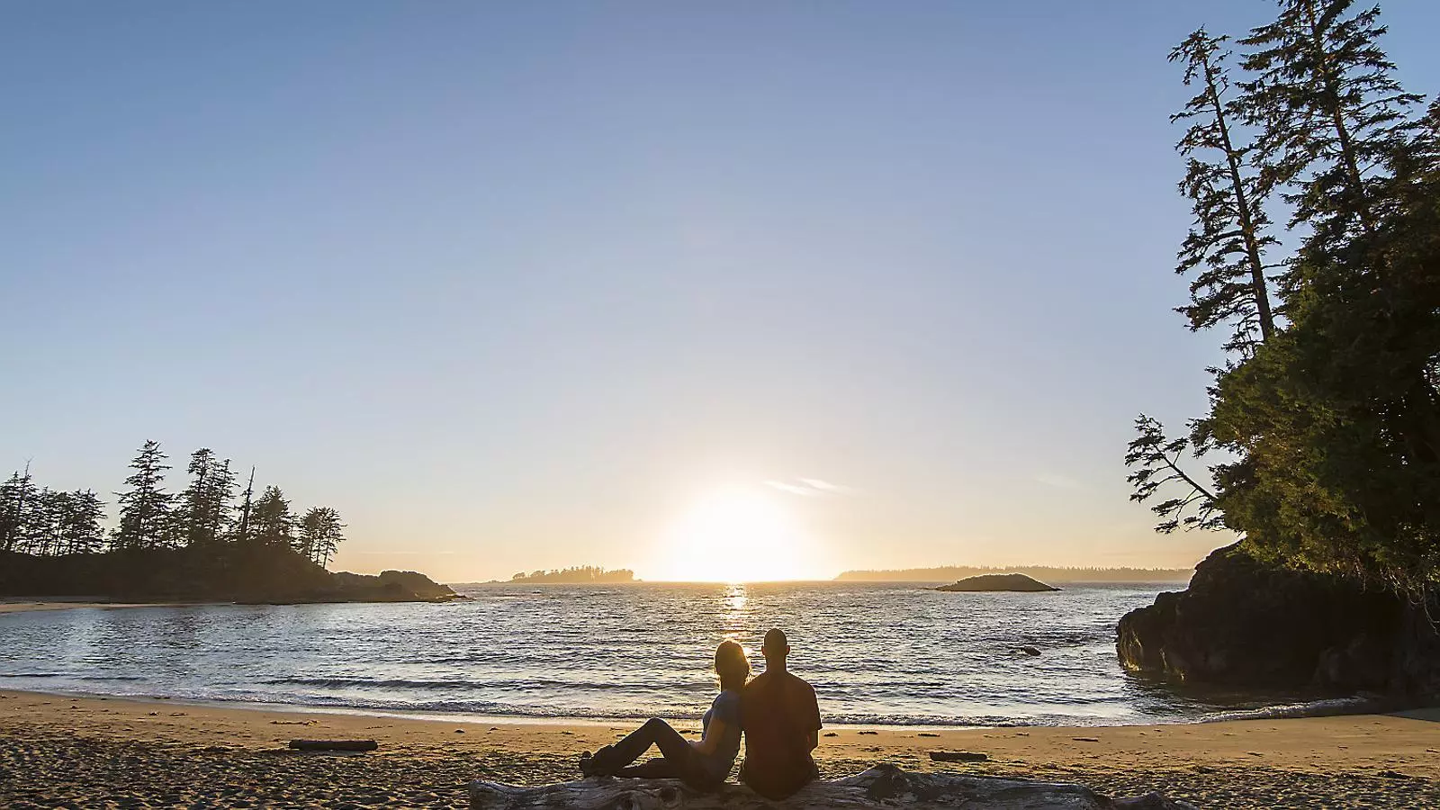 “S’allunyaven de la platja guiats per la Llobarra. Des de la sorra, la Maire els feia adeu amb la mà”.