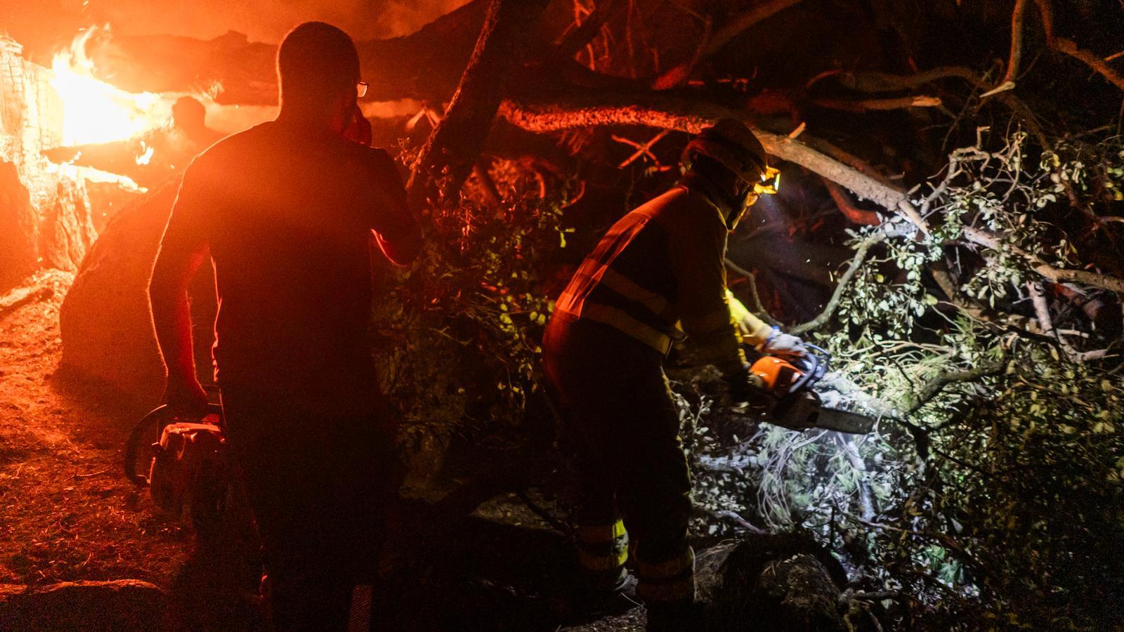 Several people are working on the tasks of extinguishing the forest fire in La Adrada, Ávila.