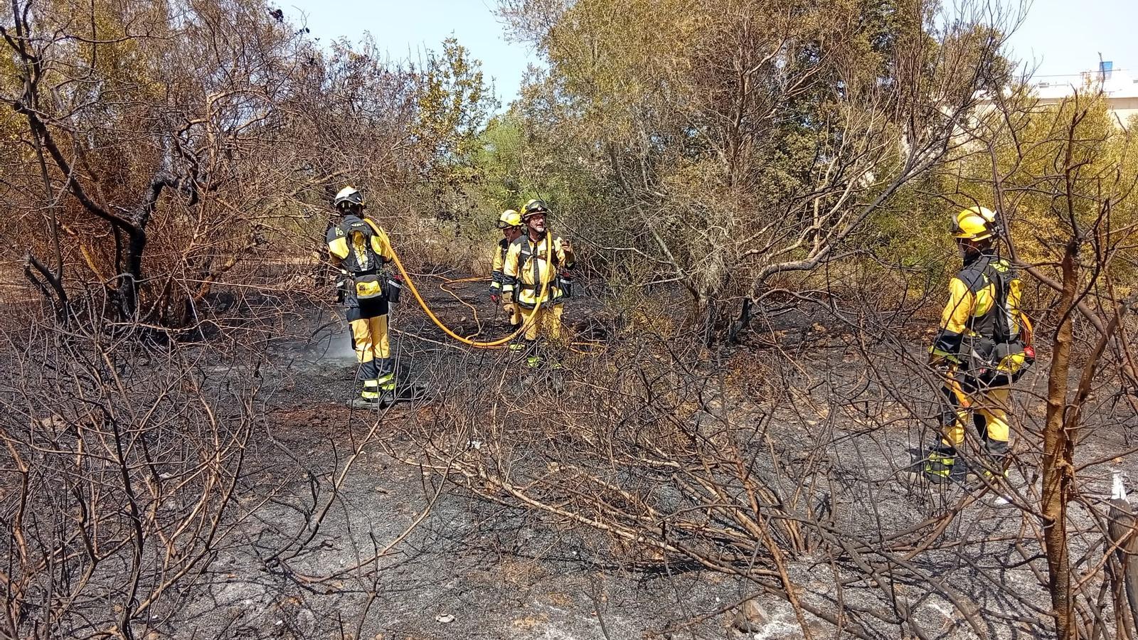 Bombers forestals a un dels dos incendis de Muro que han tingut lloc aquest dilluns