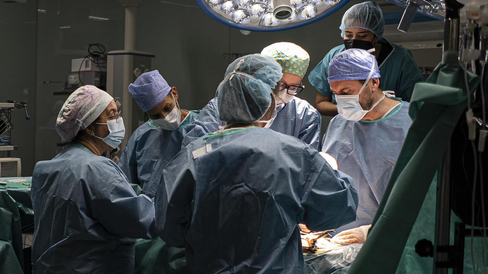 Double pancreas and kidney transplant at the Hospital Clínic of Barcelona.
