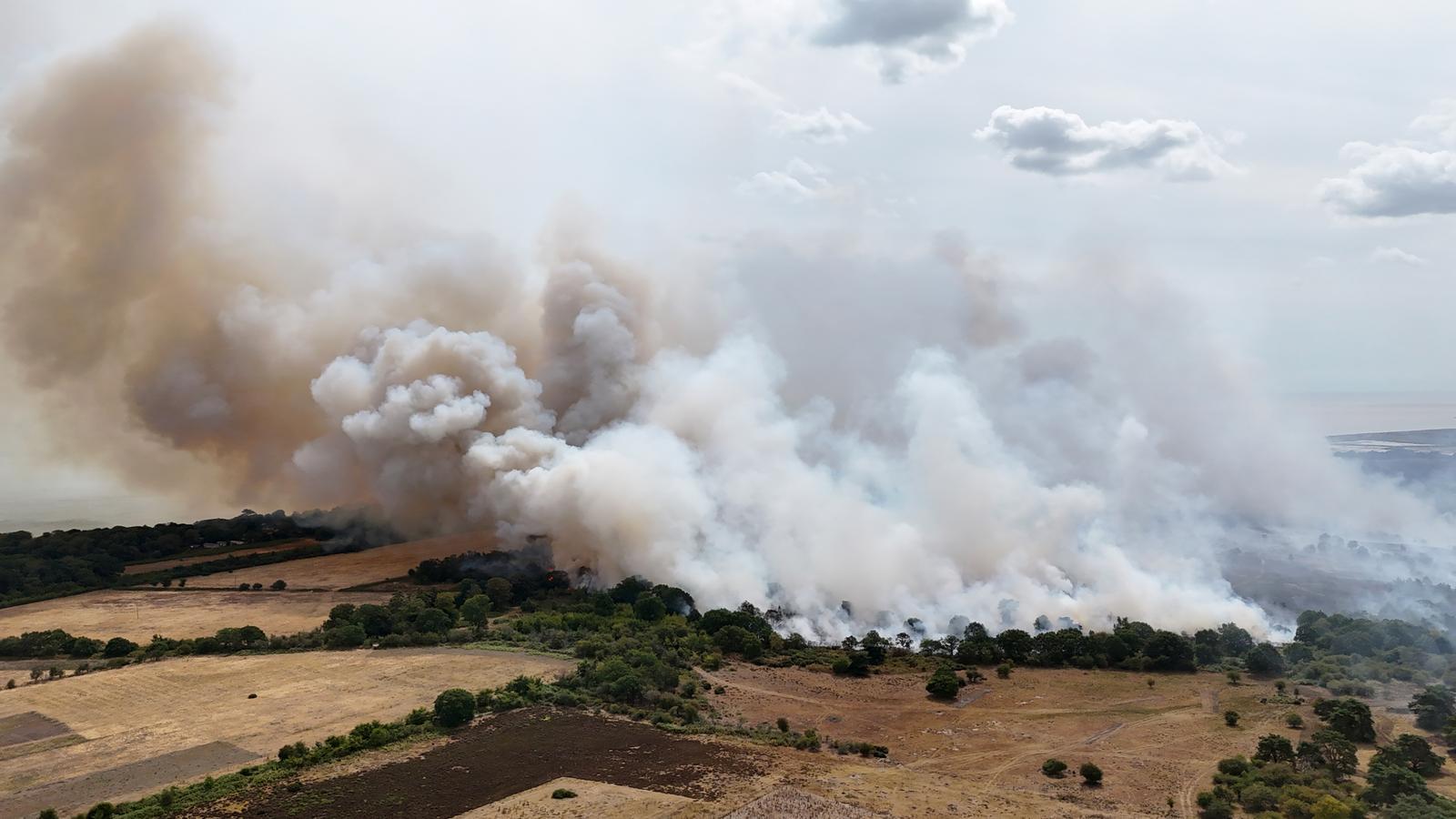 El humo de un incendio forestal se eleva en la zona de Suffolk, en el Reino Unido.