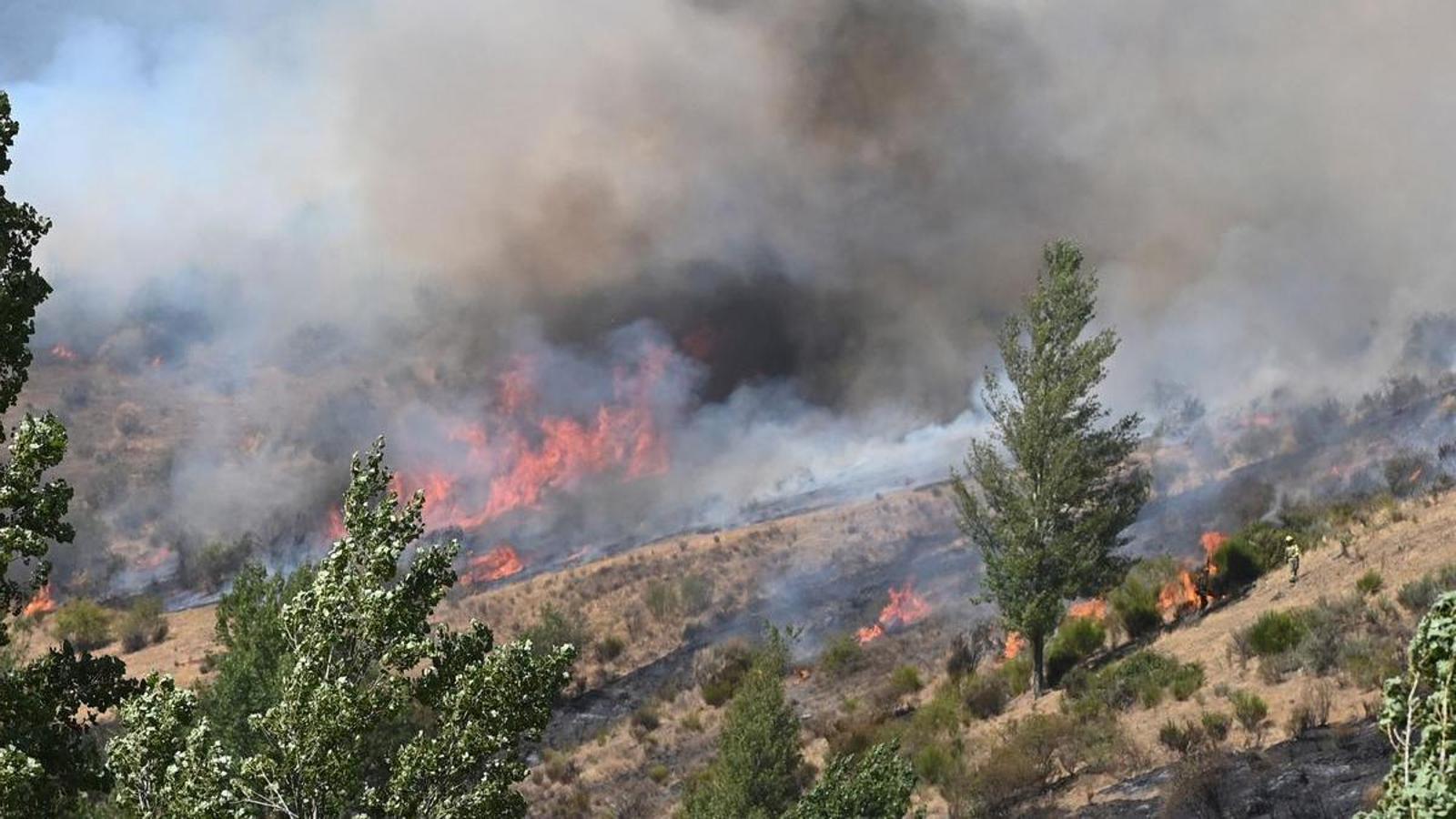 The fire burning in Fasgar (León), the most virulent active focus in the State.