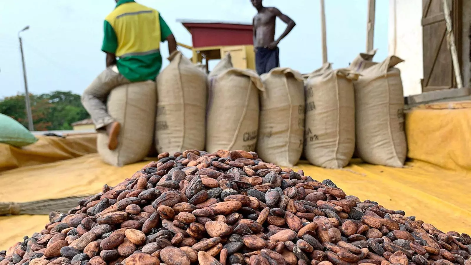 Dos treballadors d’un magatzem de cacau a Atroni, Ghana, en una imatge recent.