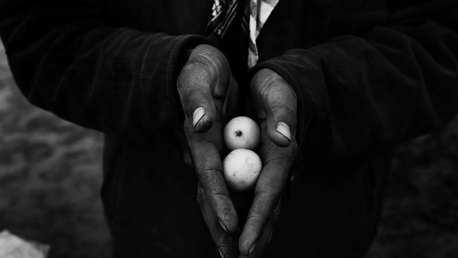 Les mans d'un fruiter a Kabul, Afganistan, el 2010.