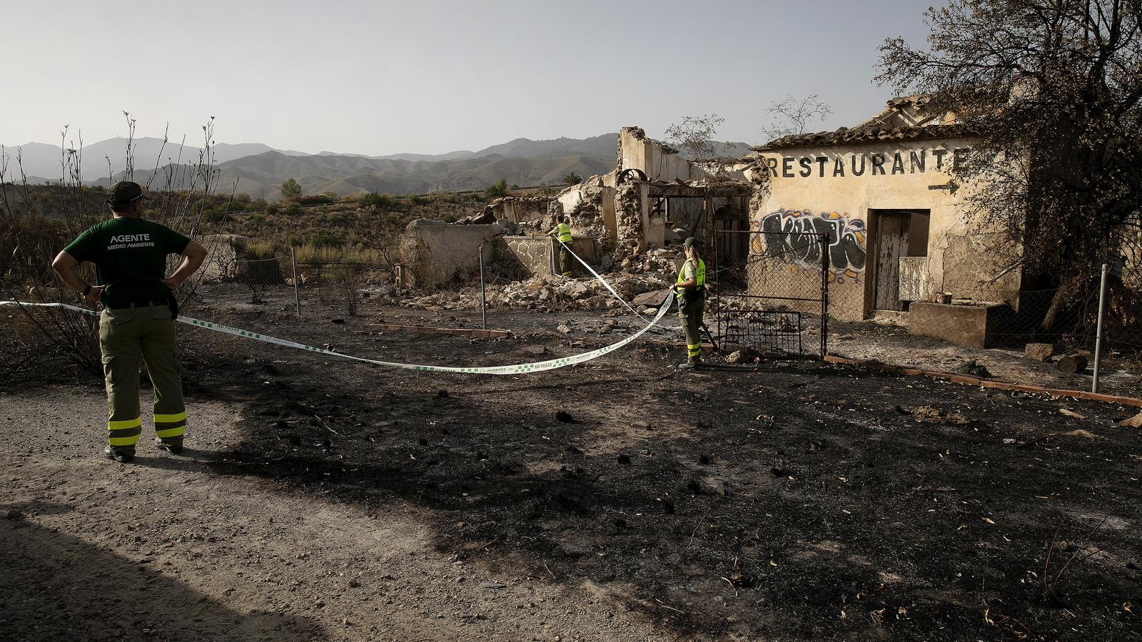 Agentes de Medio Ambiente de la Junta de Andalucía analizando el punto inicial del fuego.