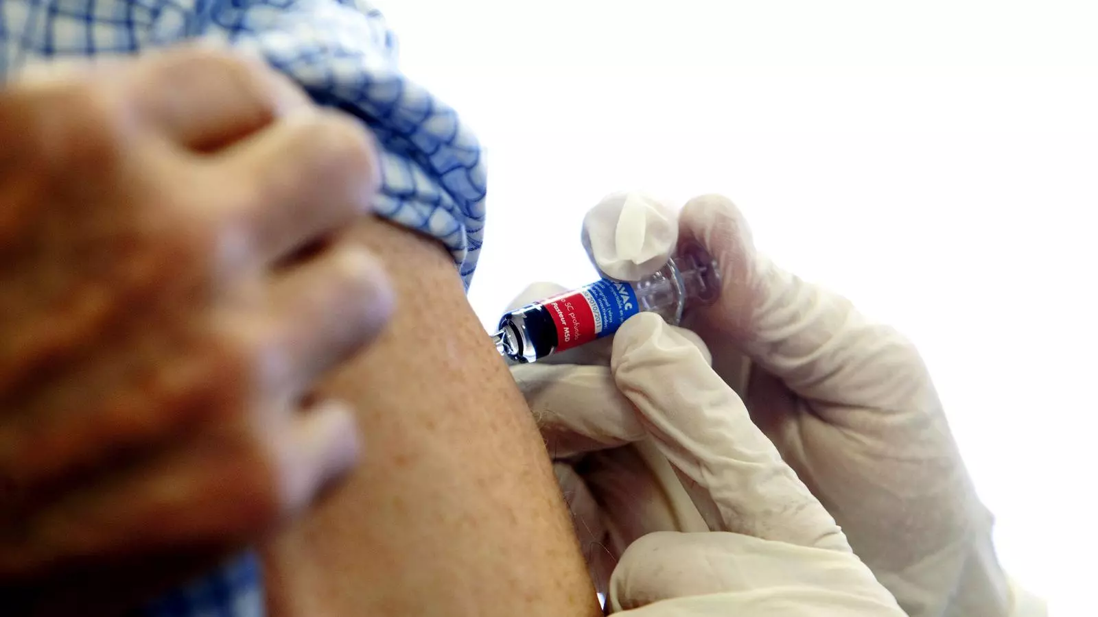 La vacuna de la grip d'aquesta temporada inclou soques del virus de la grip A (H1N1) i B.