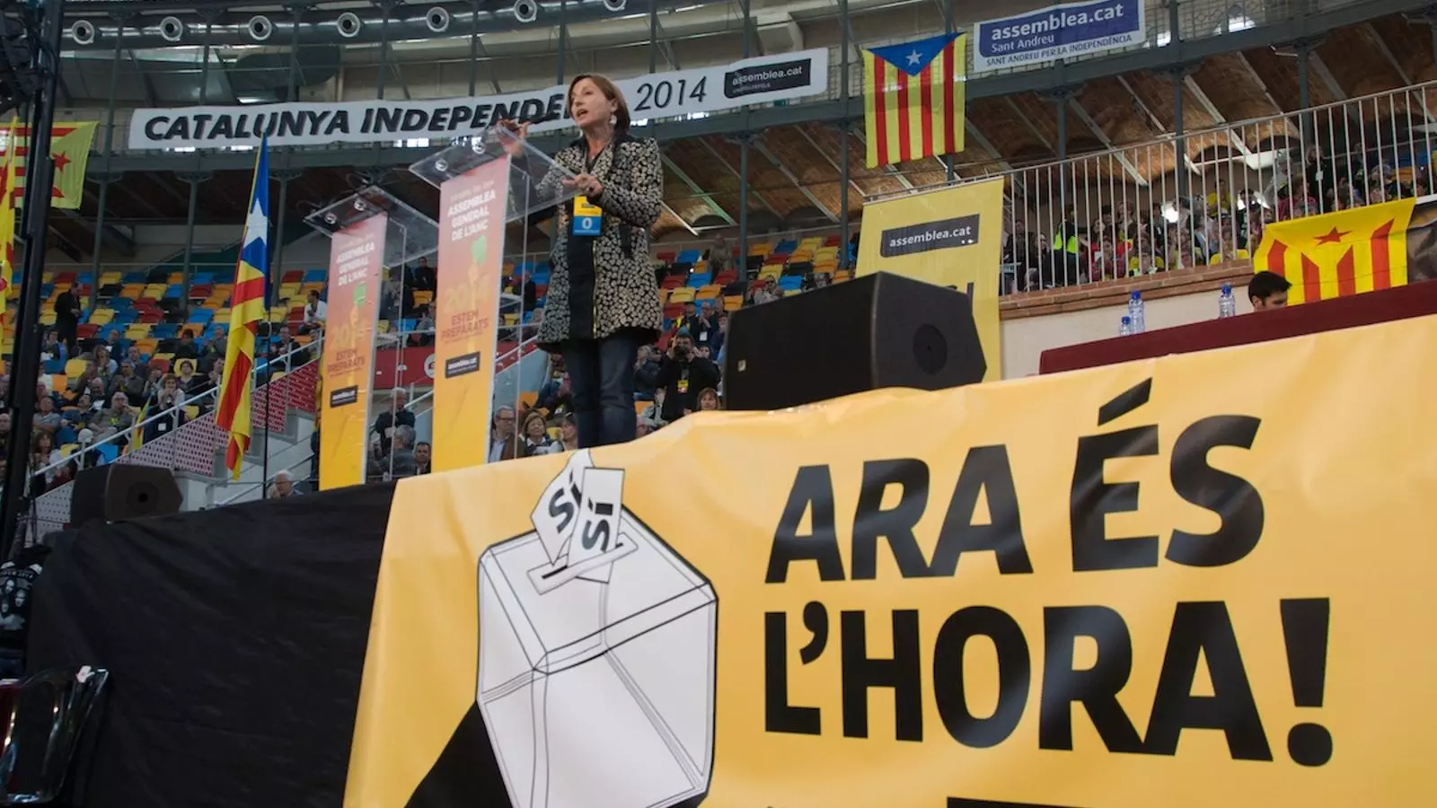 La presidenta de l'ANC, Carme Forcadell, aquest dissabte, en l'assemblea general de l'entitat / TJERK VEN DER MEULEN