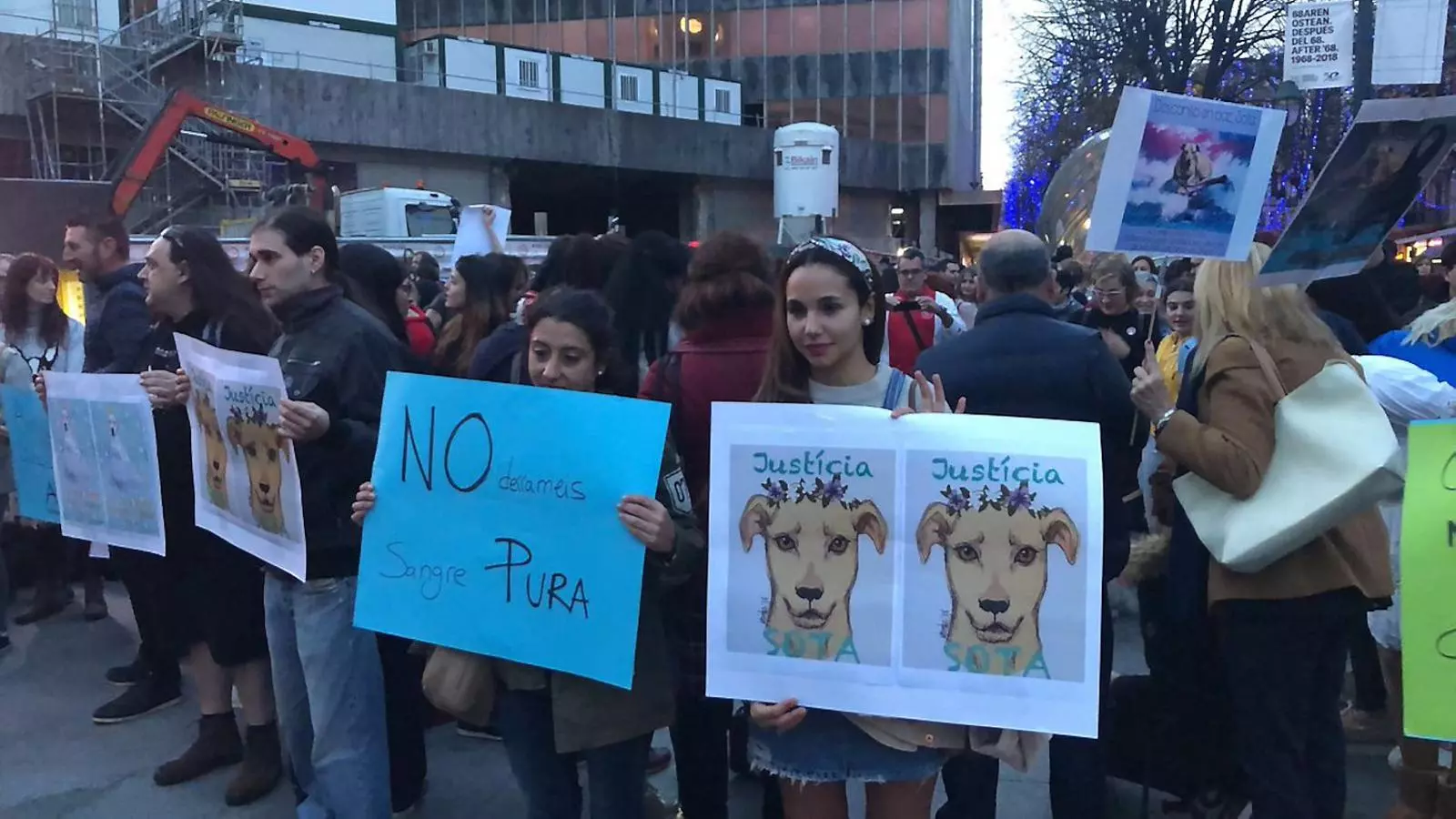 El jutge del tiroteig a la gossa Sota limita els animalistes