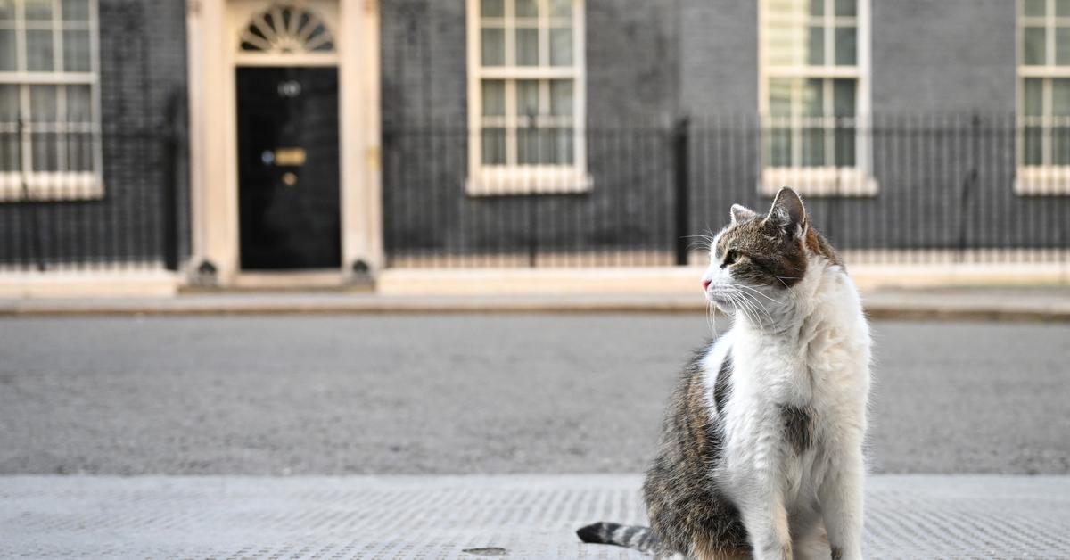 Política descarnada a la vista de tothom i tafaneries que funcionen com a notes a peu de pàgina. Després de 117 dies de revisió, el govern britànic ha fet pública aquest...