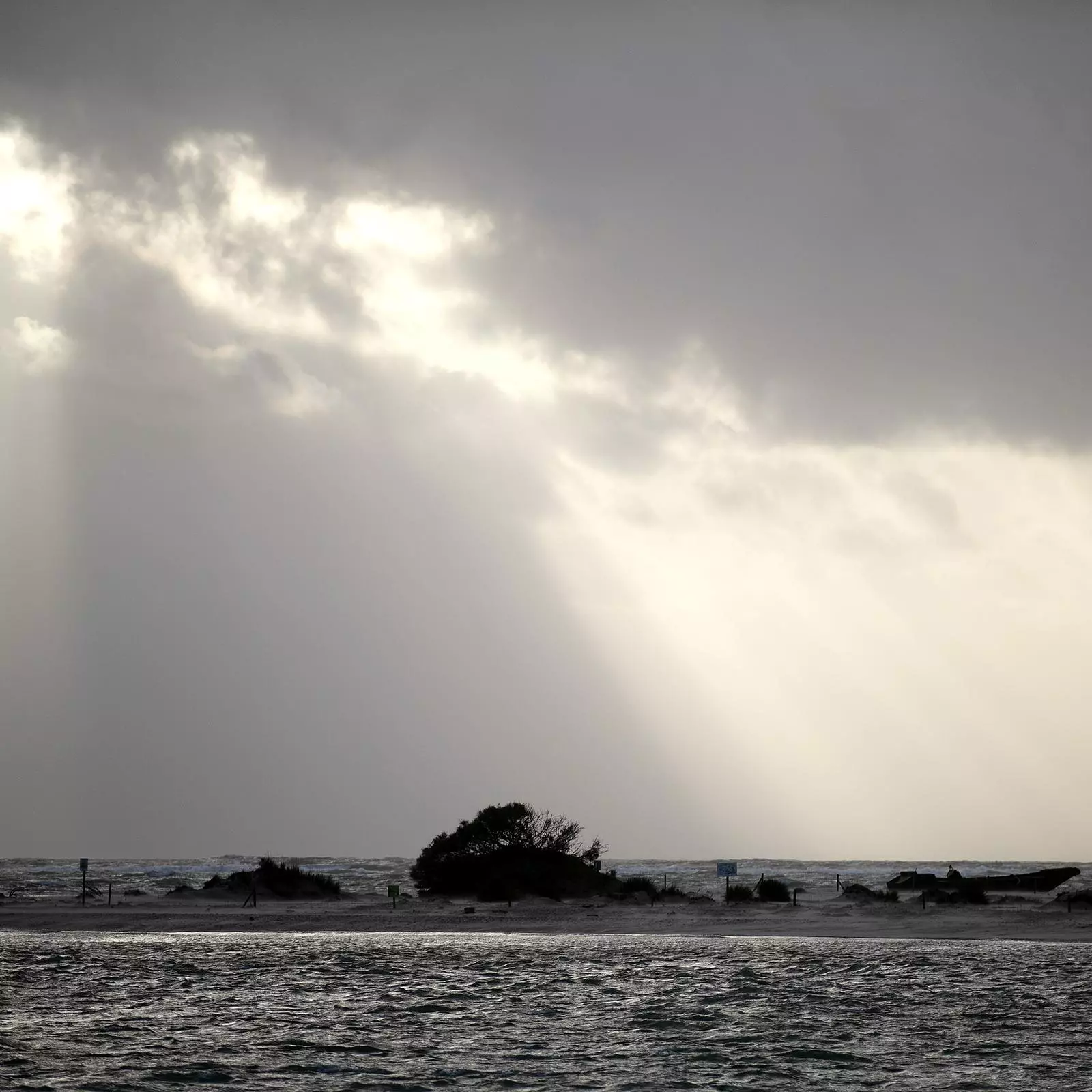 La narcollanxa embarrada a Sancti Petri