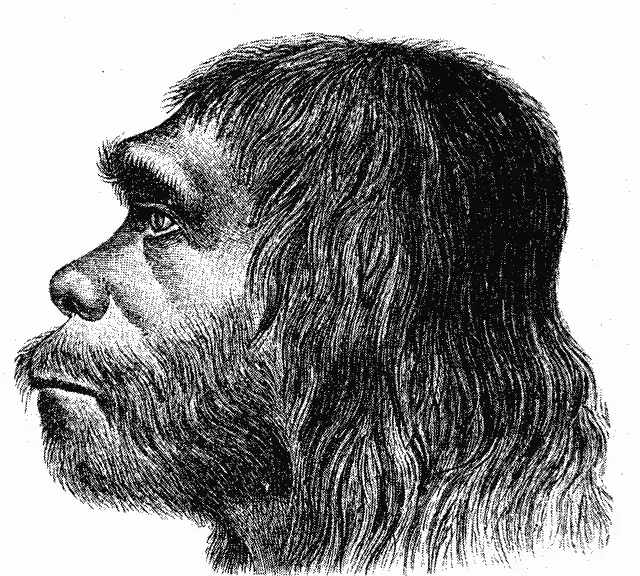 Reconstrucció del 1888 d'un neandertal, a càrrec de Hermann Schaafhausen