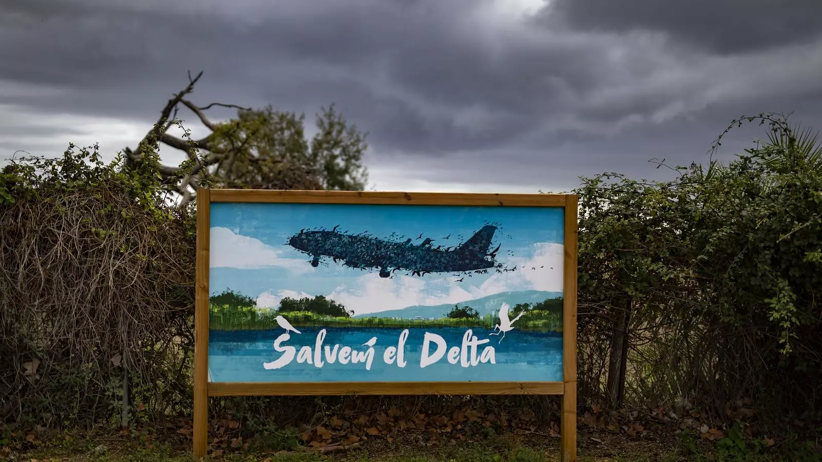 Un dibuix, contrari a l'ampliaci i en defensa del delta de Llobregat, al costat de l'aeroport de El Prat