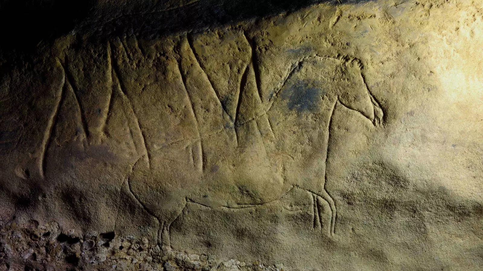 Una de les troballes de la Cova de la Font Major