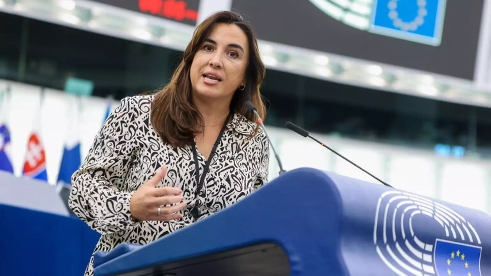 Imatge d'arxiu de l'eurodiputada Mónica Silvana