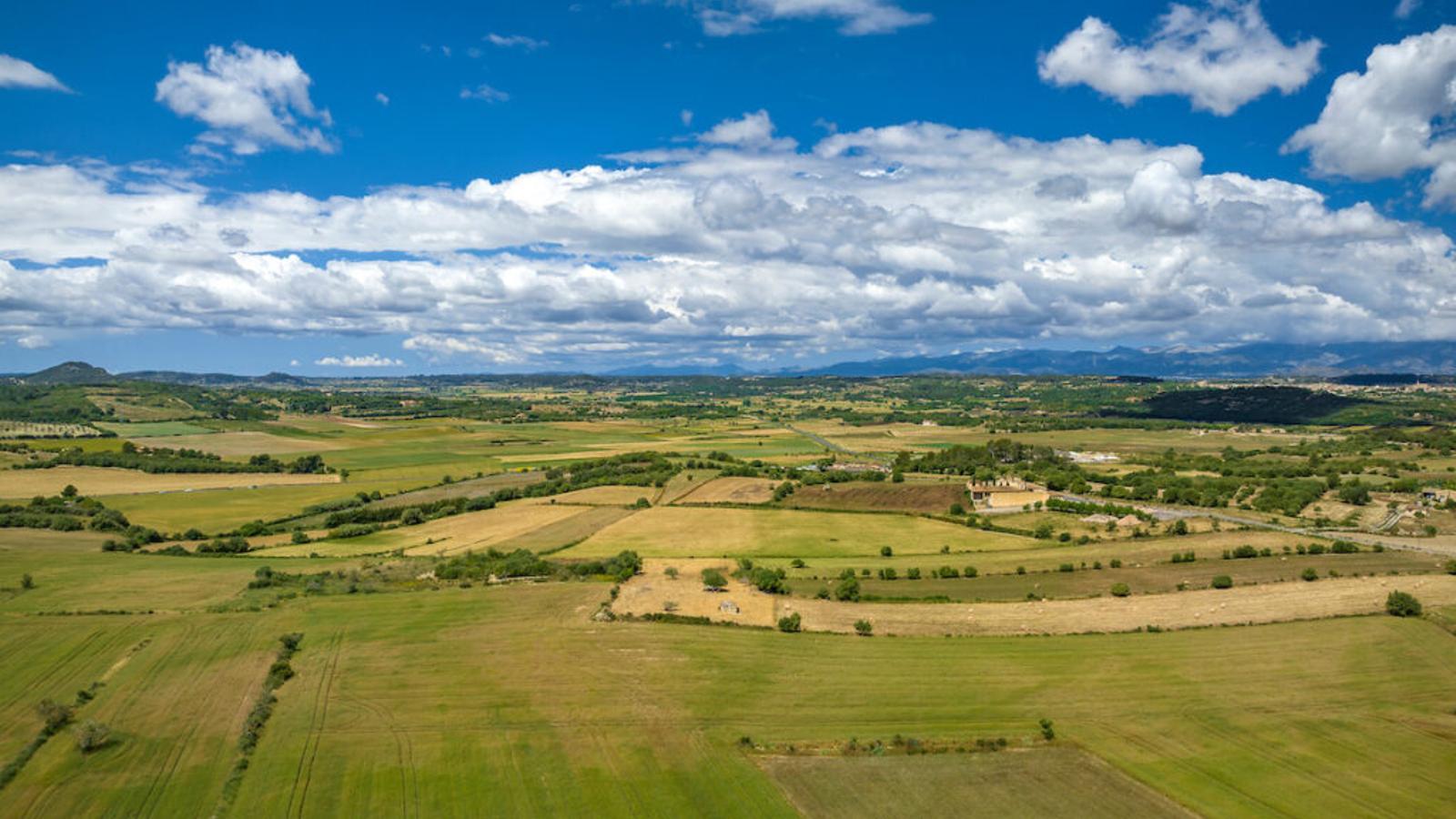 Imatge de la comarca del Pla prop d'Ariany.