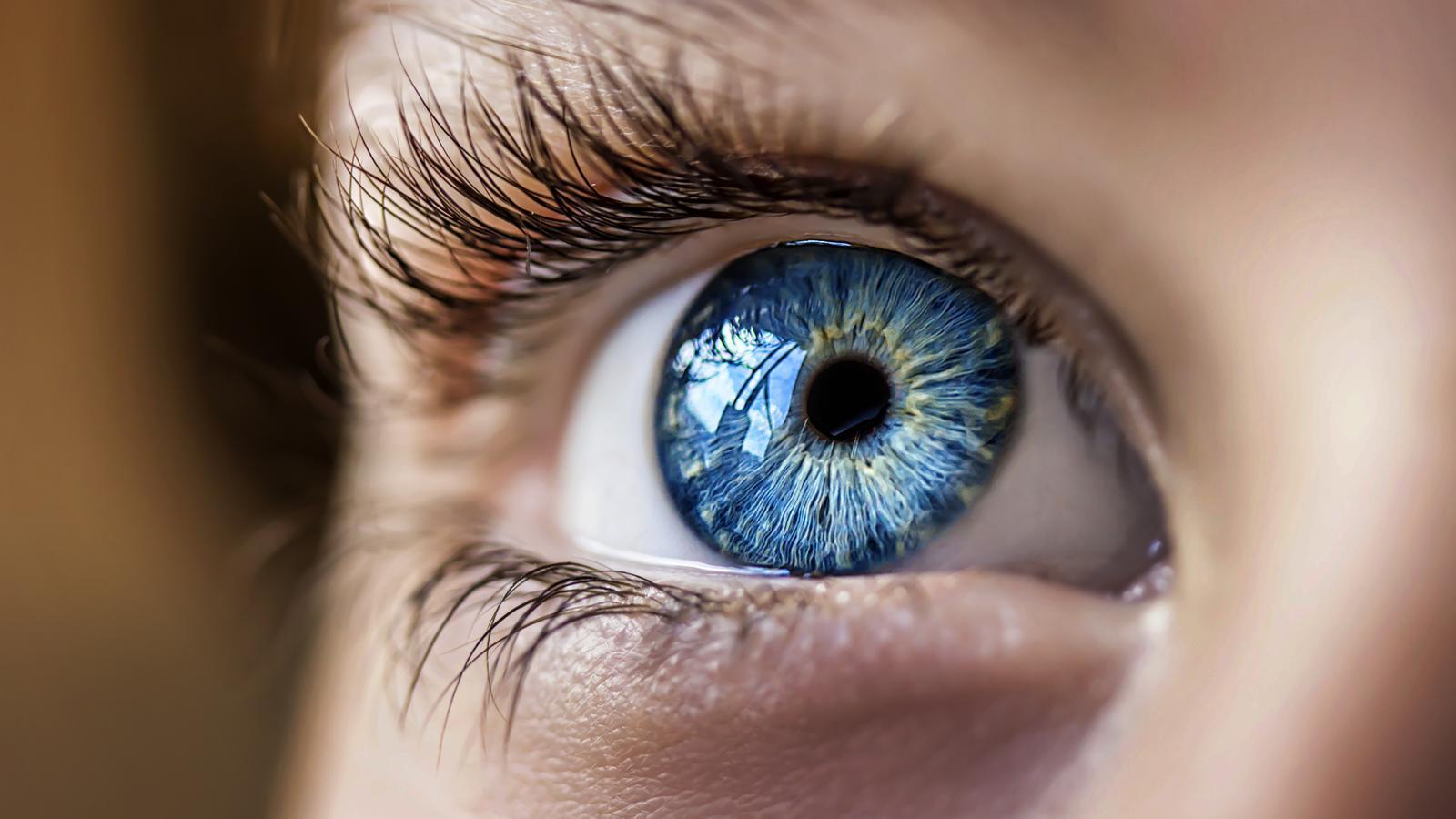 The color in the eyes of language