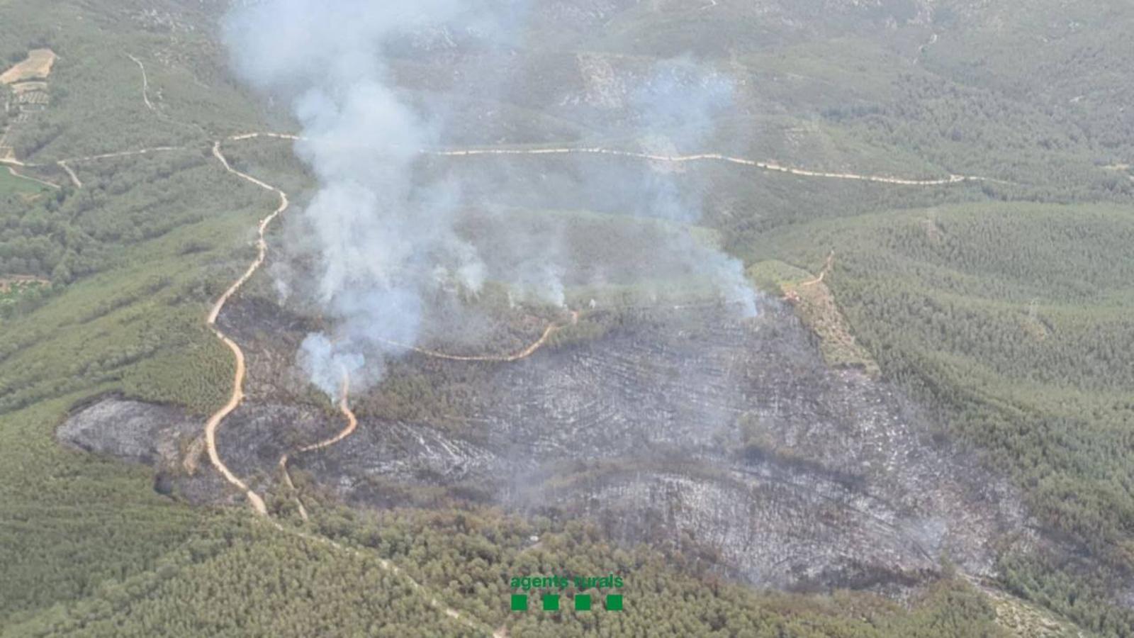 L'incendi d'aquesta tarda a Sant Pere de Ribes, al Garraf.