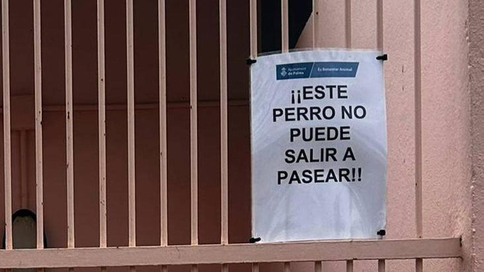 Voluntaris de Son Reus demanen dimissions: "L'han convertit en una presó"