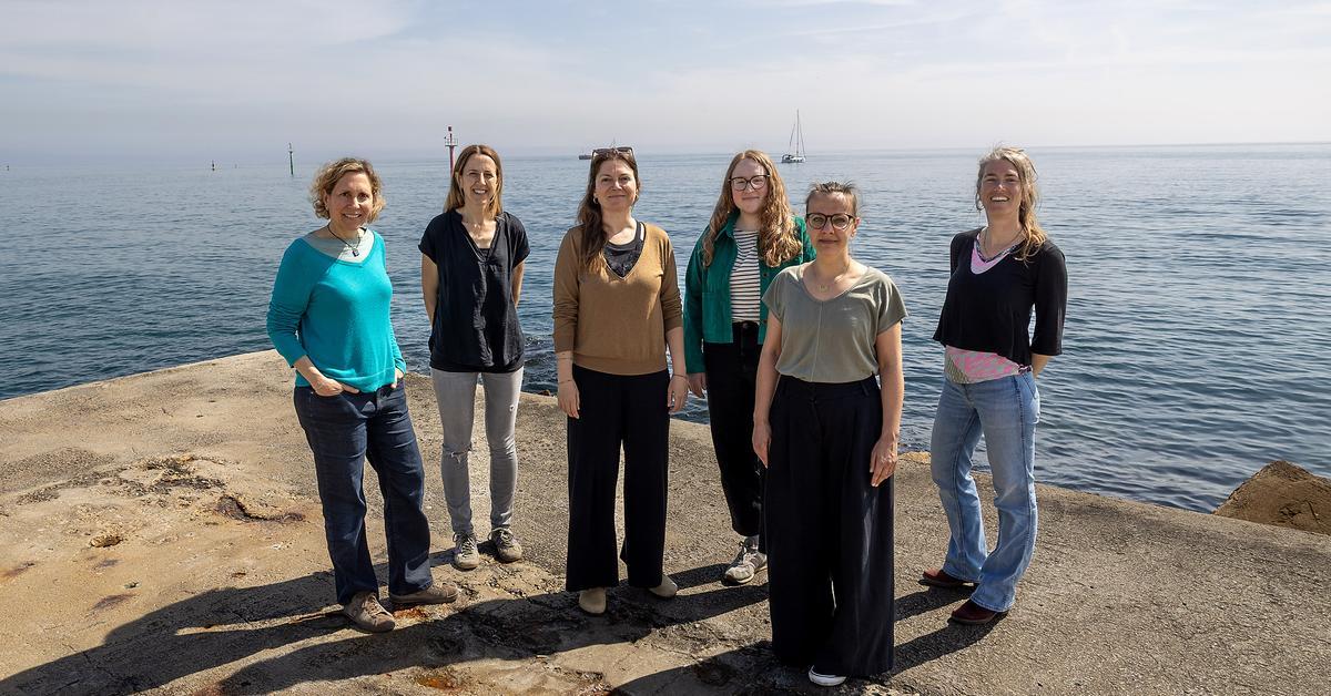 Descobreix les sis investigadores a Catalunya que lideren recerques a l'Àrtic per entendre millor el seu paper en la regulació del clima global