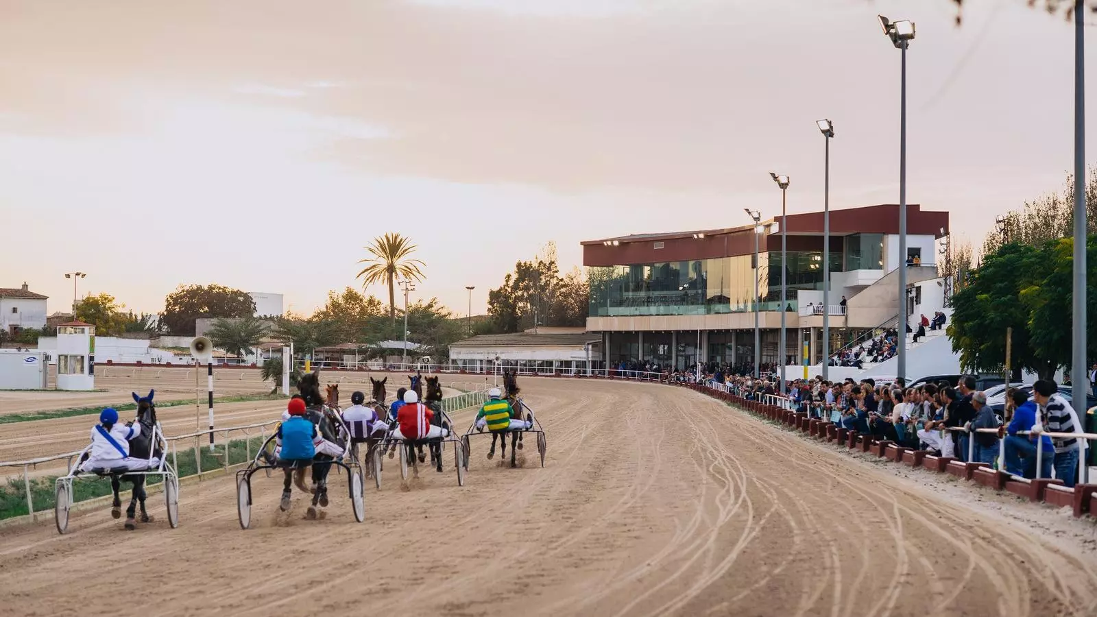 Les carreres de trot continuaran a l'Hipòdrom de Manacor.