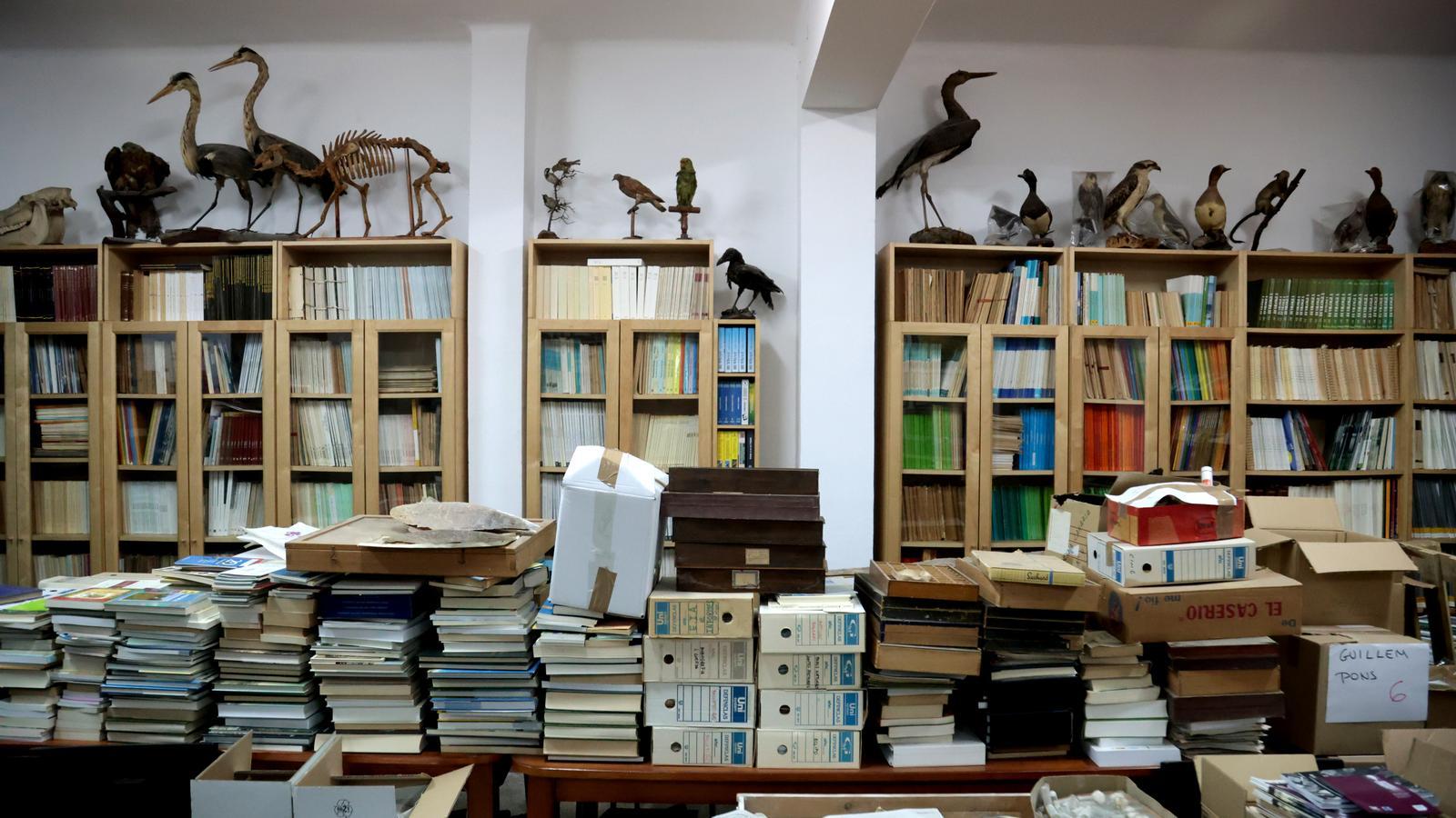 La Societat d'Història Natural de les Balears conserva i cataloga col·leccions científiques que haurien de poder estar a disposició del públic.