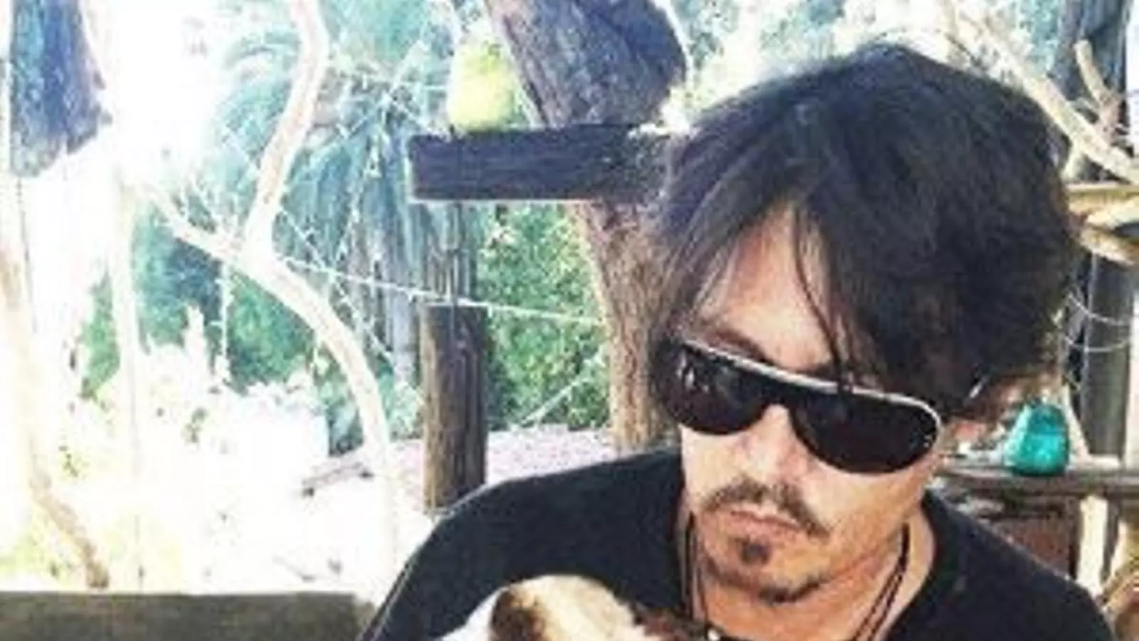 Johnny Depp i un dels seus gossos / INSTAGRAM