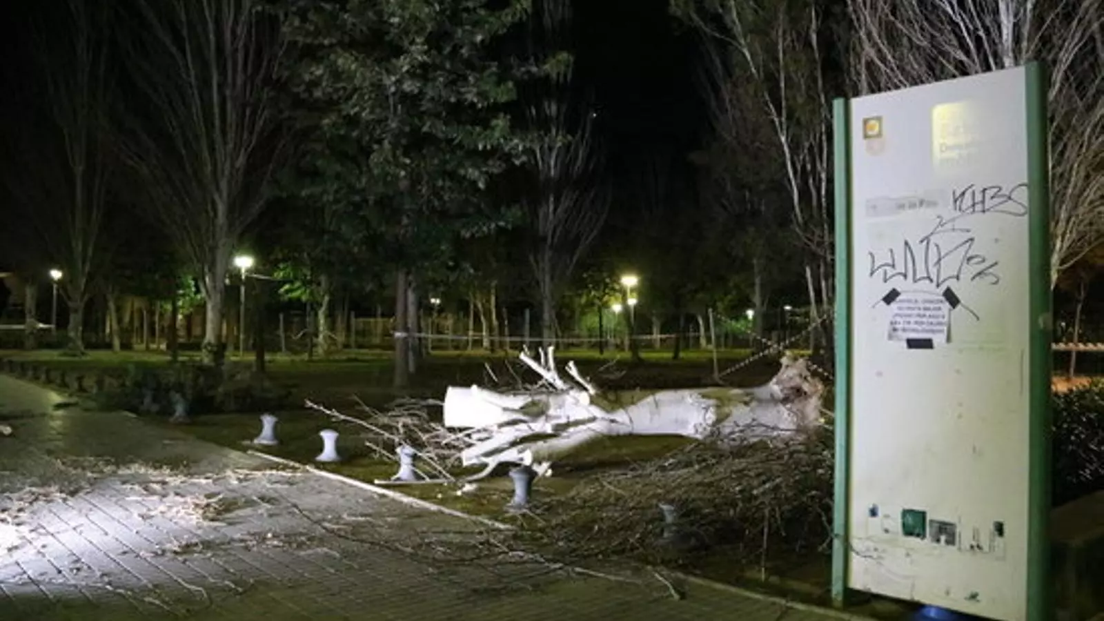Una imatge de l'arbre caigut a Salou que ha deixat dos ferits greus