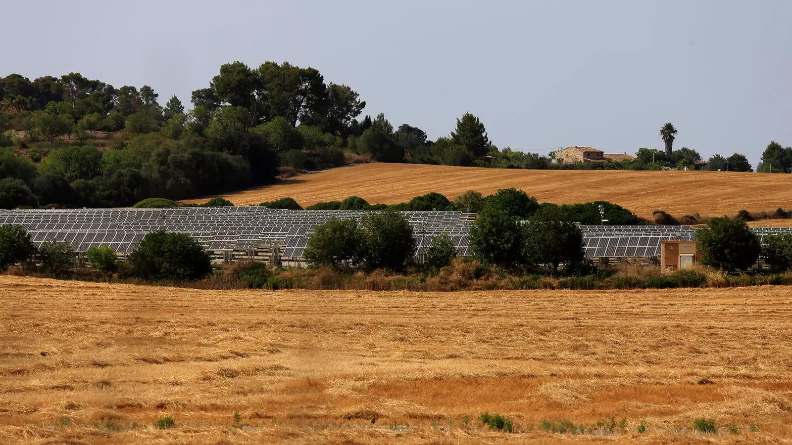 Un parc fotovoltaic de Mallorca ubicat en sòl rústic.