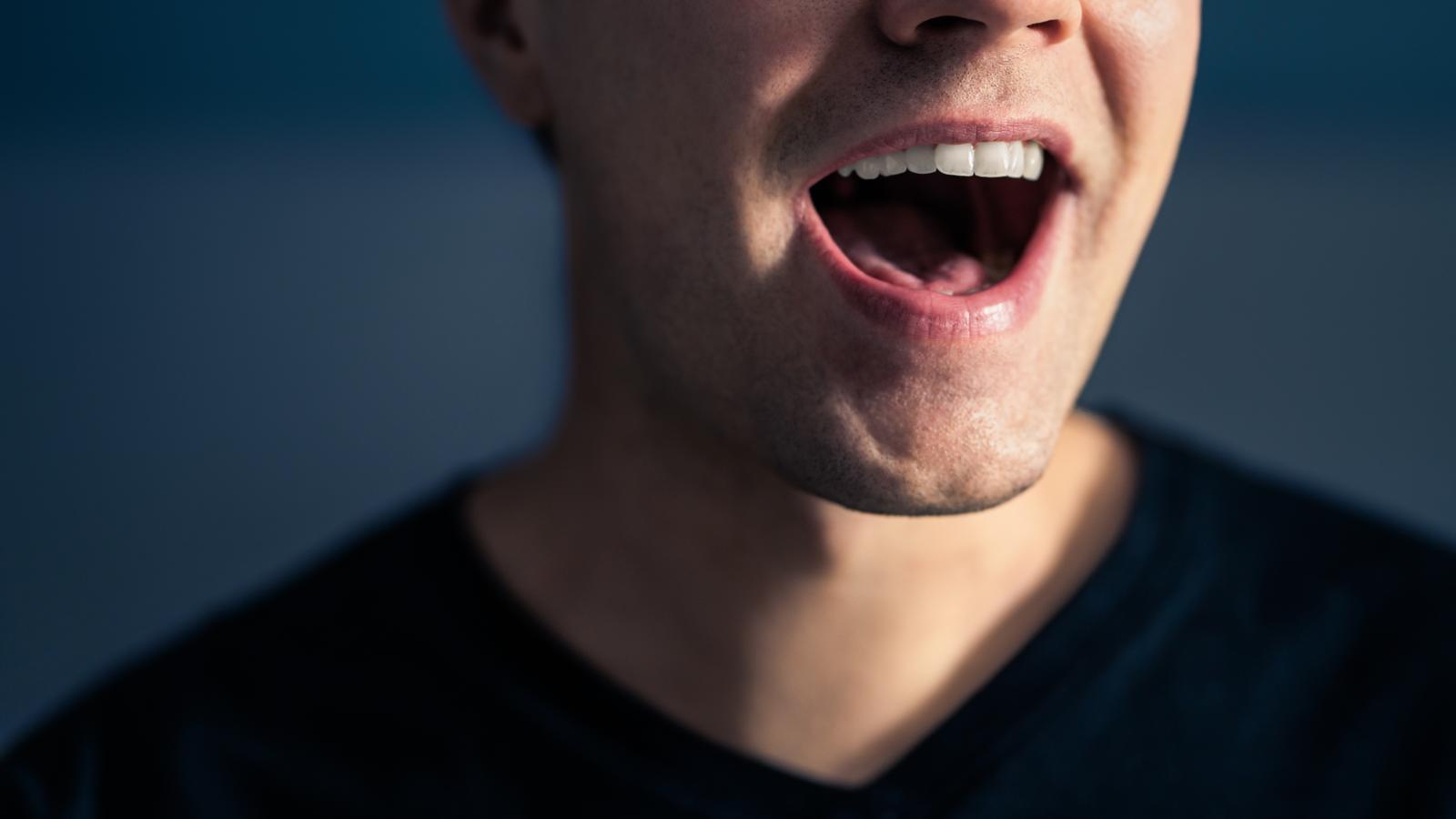 La armonía vocálica explica cómo una sola vocal puede influir en todas las otras dentro de una palabra y alterar su pronunciación.