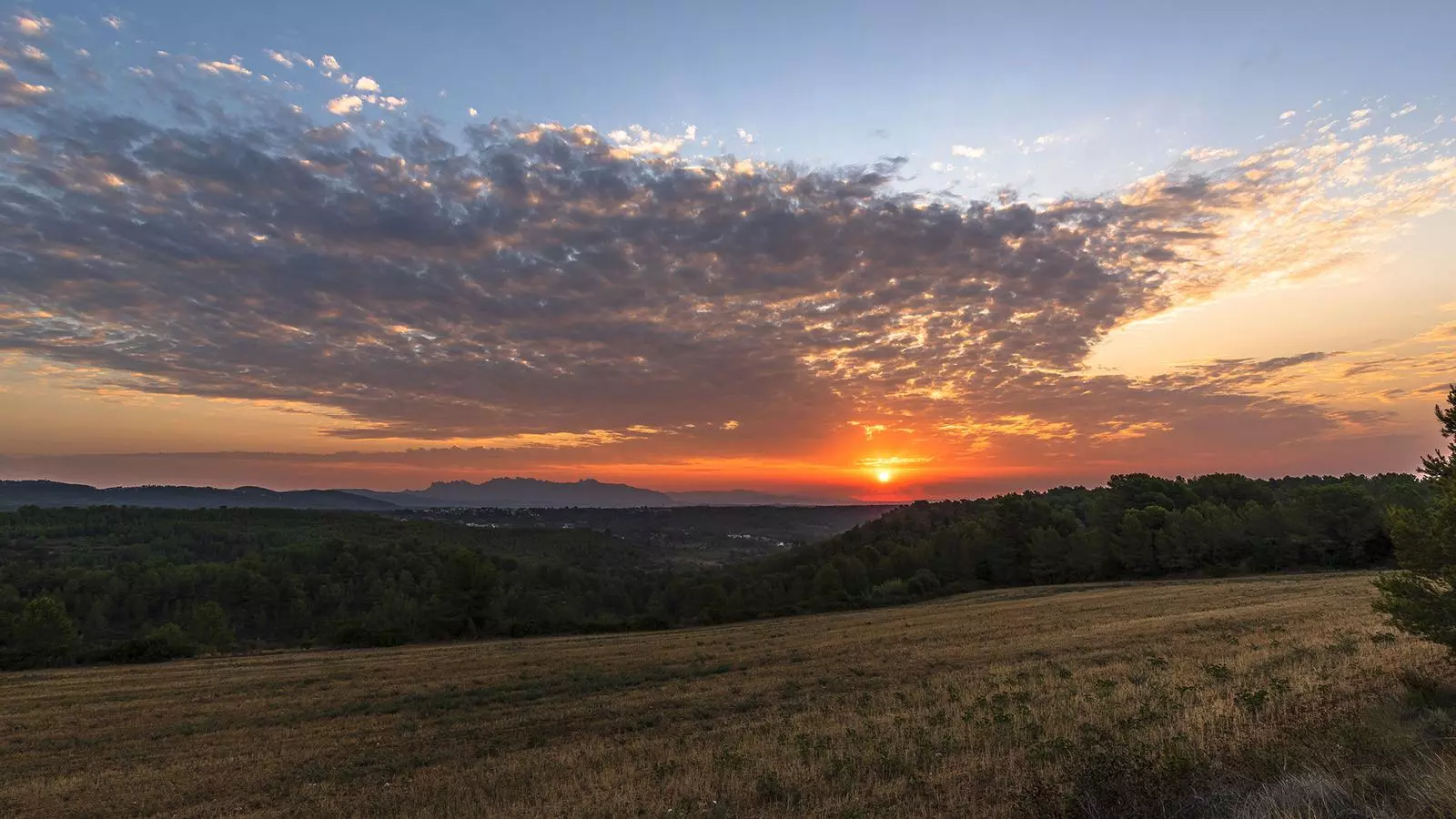 Albada amb alguns altocúmuls avui al Penedès