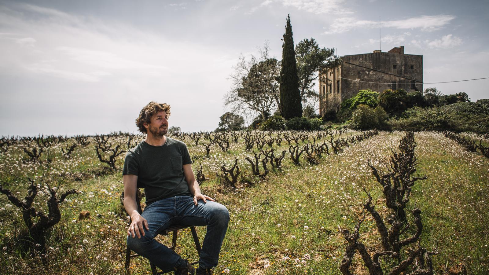 Vineyards at 600 meters in the Sierra del Montmell, the heart of Can Sumoi.