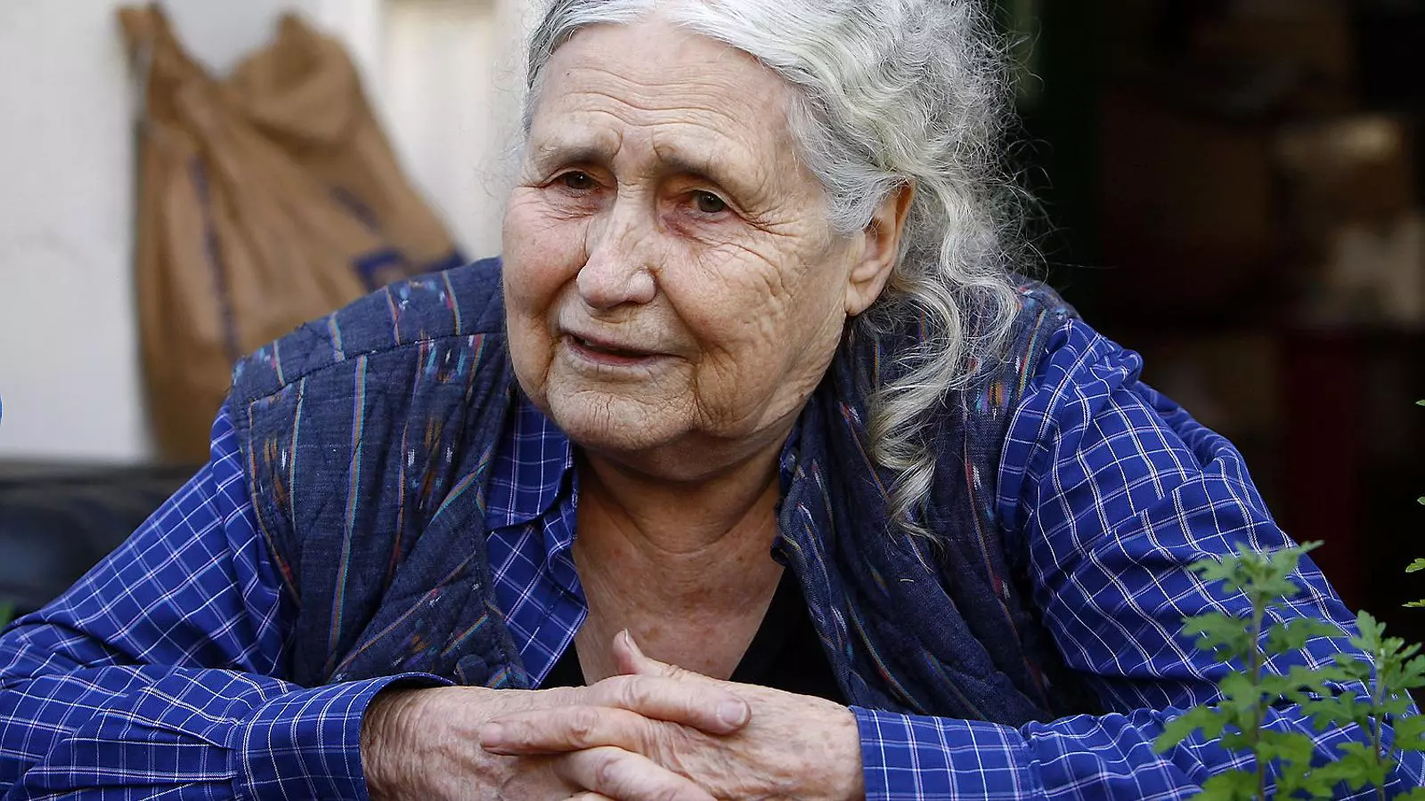 DORIS LESSING