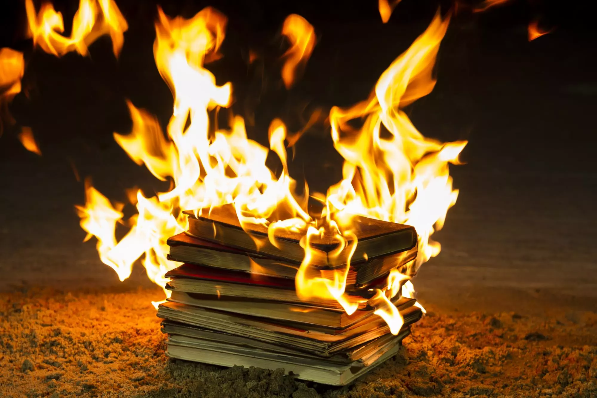Una imatge de llibres cremant