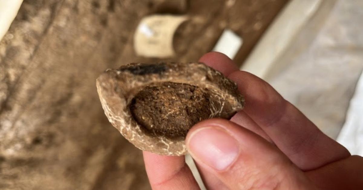 モンジュイックにある先史時代の遺跡