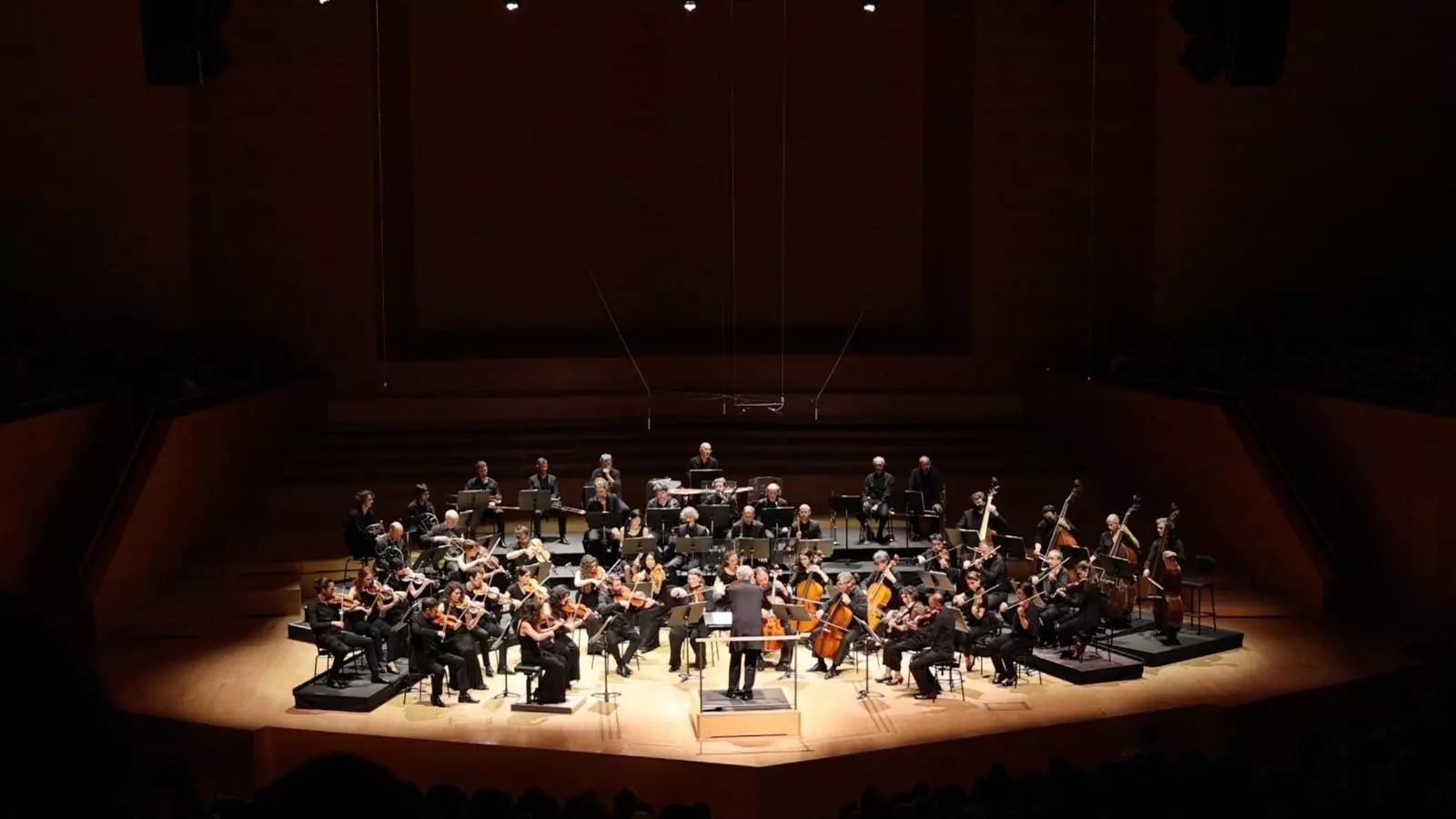 Una imatge del concert