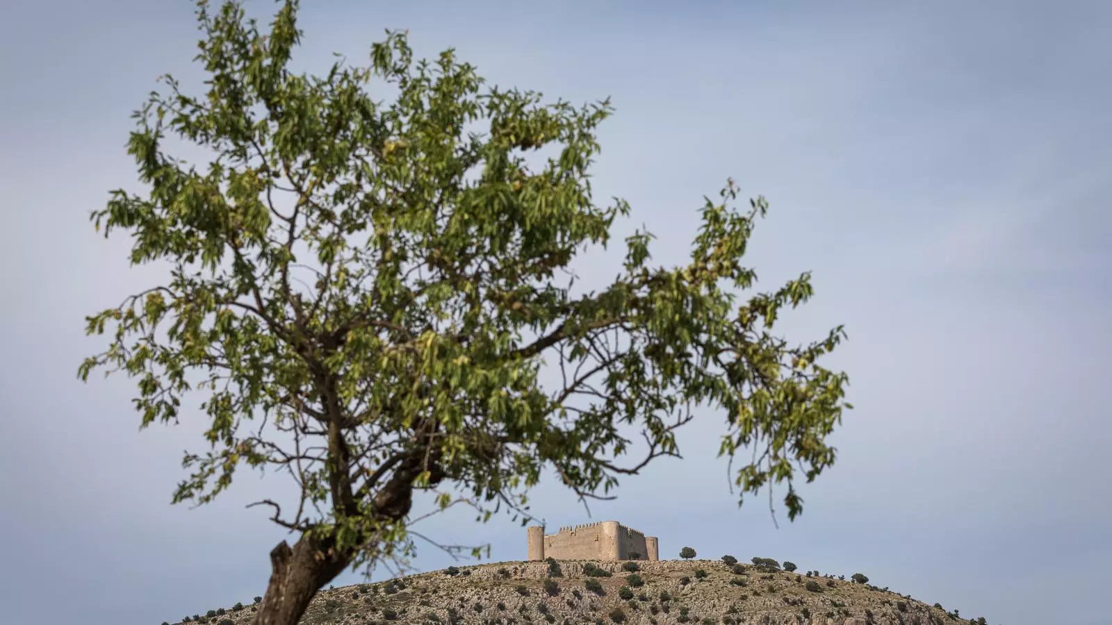 El castell del Montgrí, al Baix Empordà