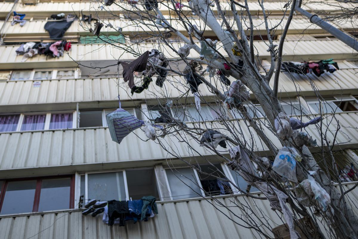 Junk in trees and inner courtyards.