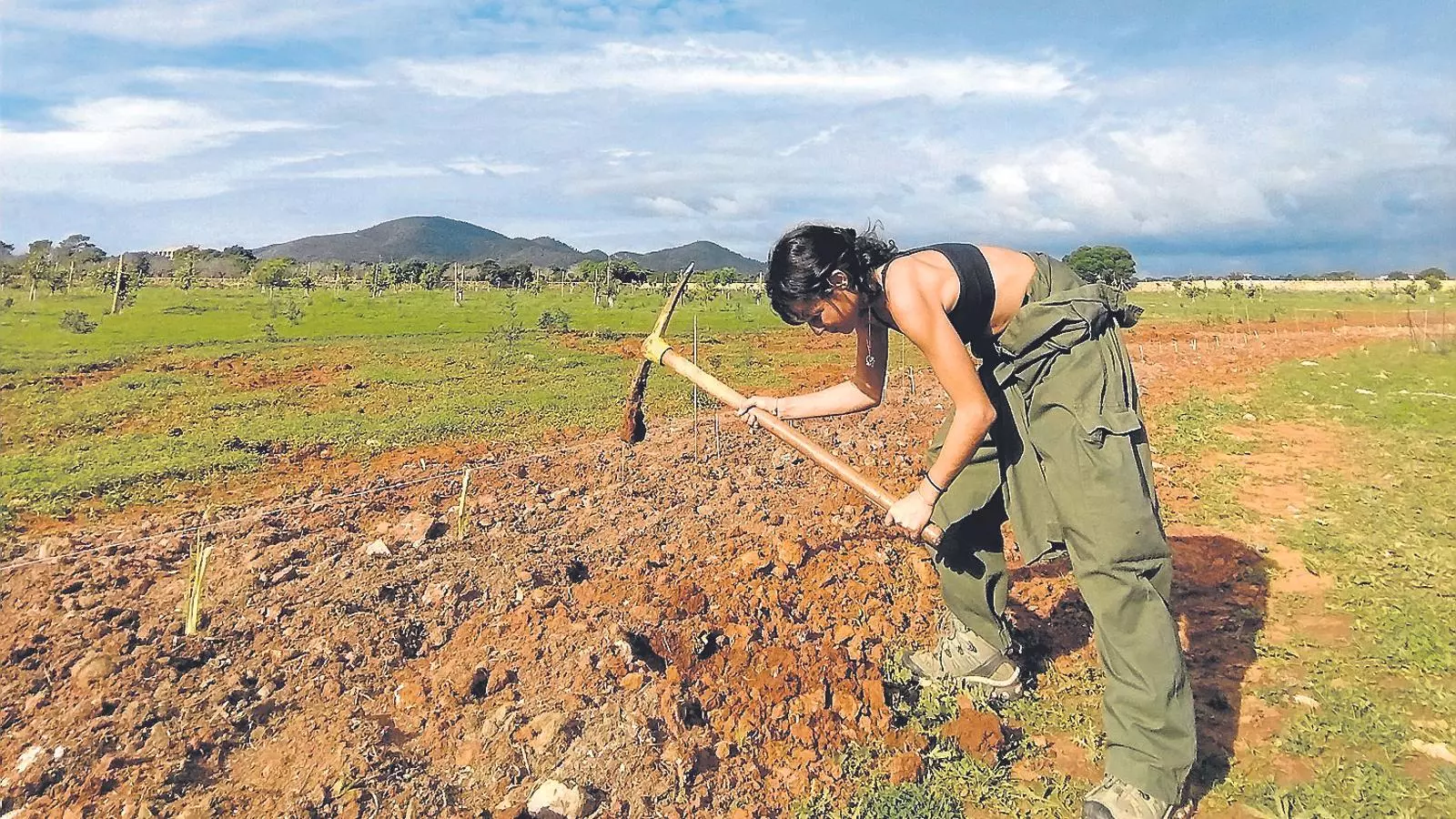 Clementina Alarcón, una jove pagesa que es forma al Regne Unit i impulsa un projecte agrícola al Llevant mallorquí.