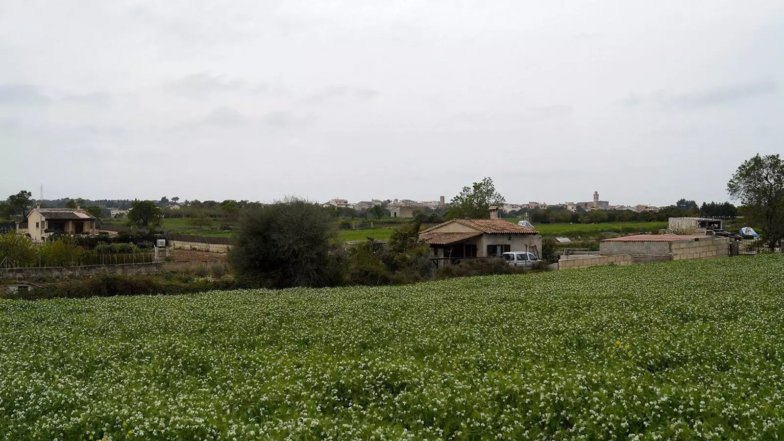 Quan entri en vigor el nou decret, les construccions en sòl rústic hauran de recollir mesures d'integració paisatgística